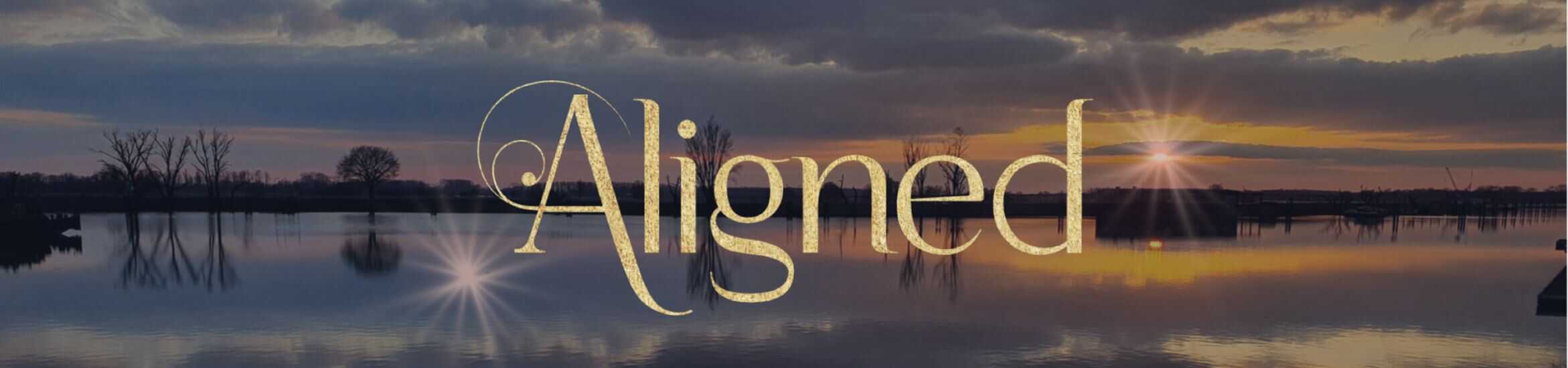 Aligned E-Mail Banner